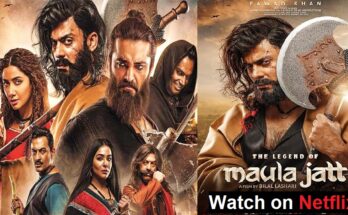 The Legend of Maula Jatt on Netflix